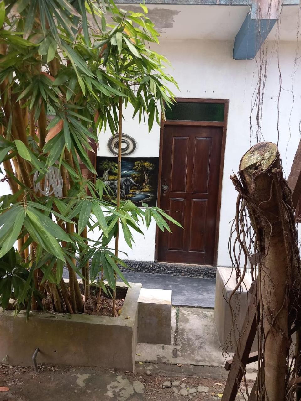 Suninn Hostel And Surf School Weligama Eksteriør bilde